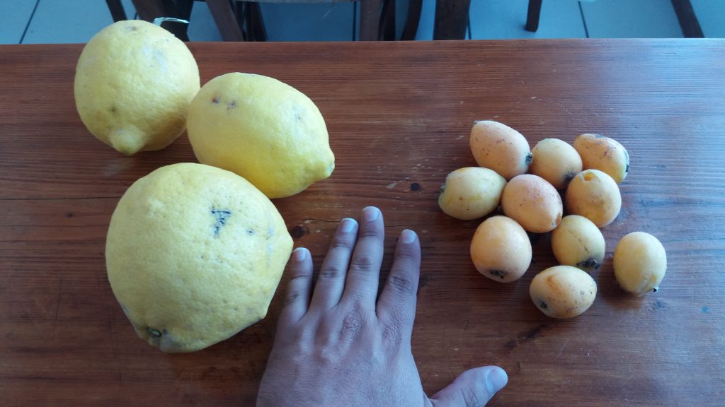 Lemons and Loquat