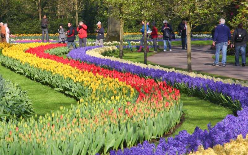 Keukenhof Tour