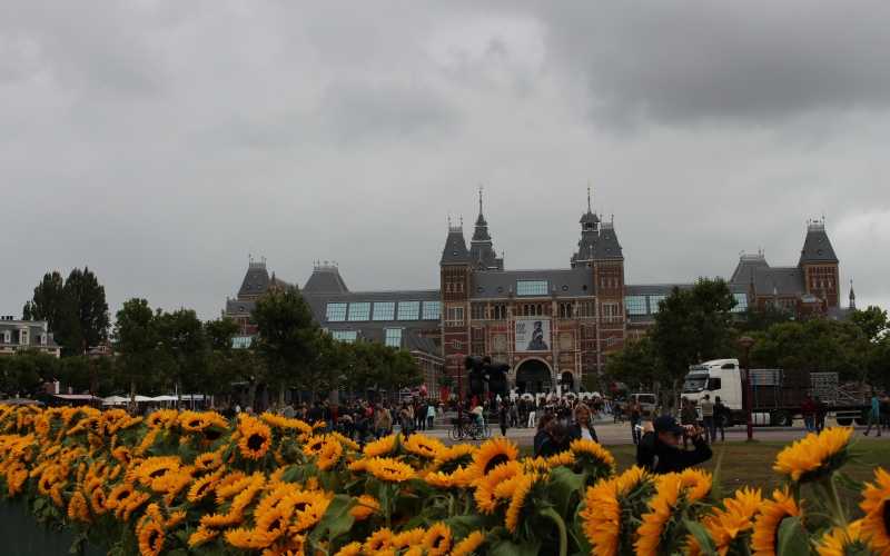 Van Gogh Sunflower Labyrinth