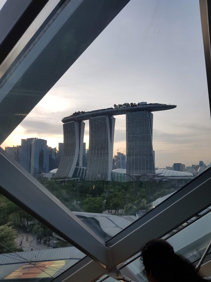 Travel restrictions to Singapore due to Coronavirus Travel Network